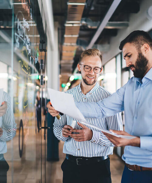 Business Consultancy